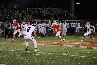 October 18 2019 IMG_335694